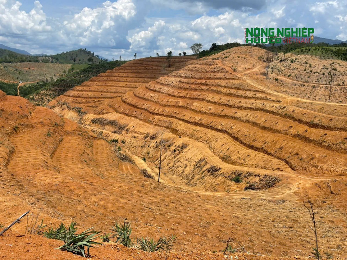 Cần rà soát, đánh giá đầy đủ về tiến độ đầu tư dự án của Công ty TNHH Quý Thanh Lộc Phát