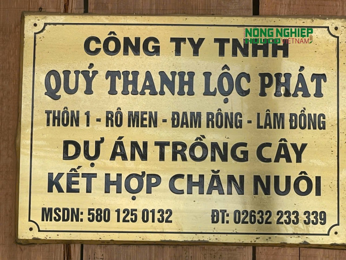 Cần rà soát, đánh giá đầy đủ về tiến độ đầu tư dự án của Công ty TNHH Quý Thanh Lộc Phát