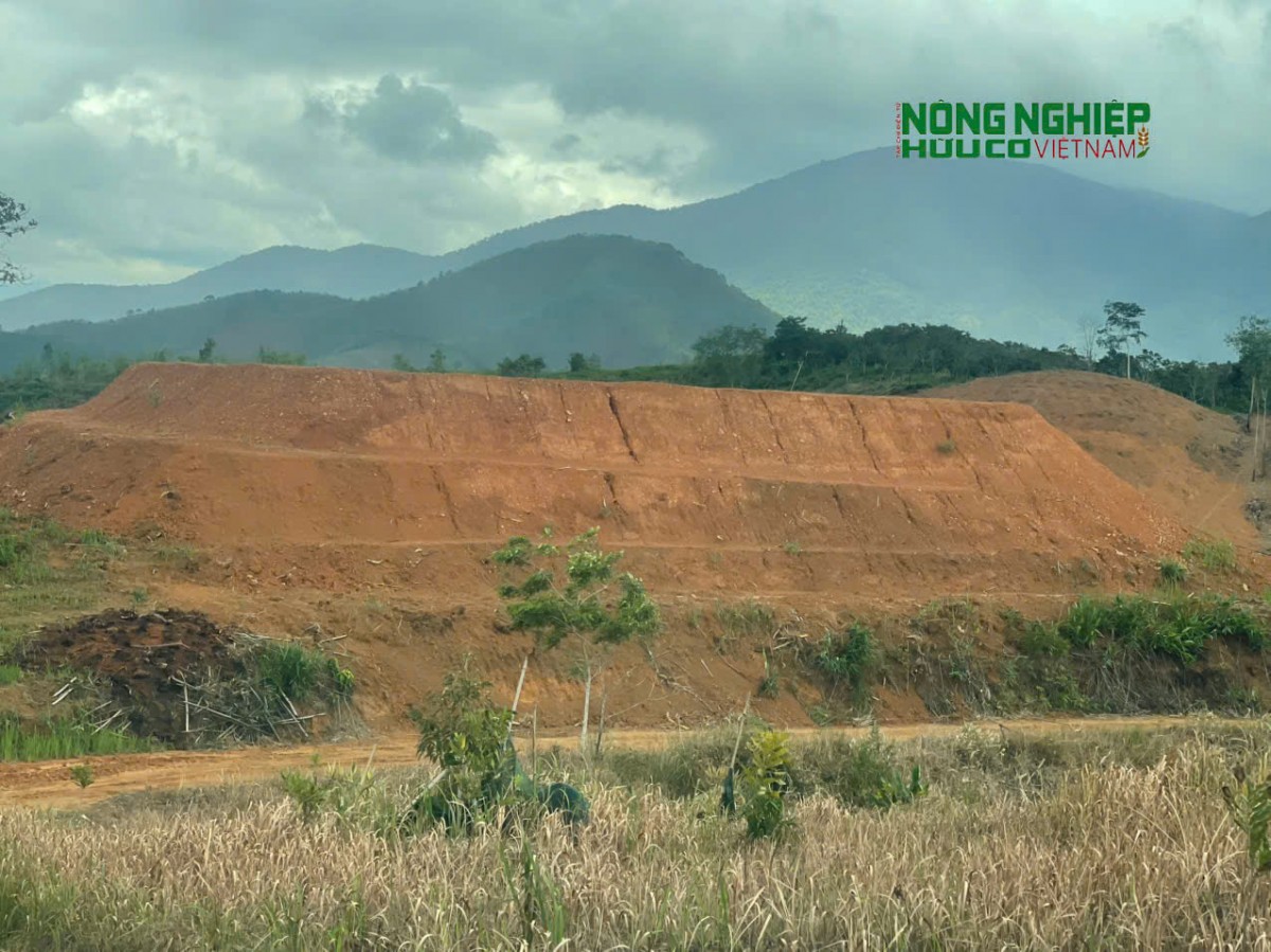 Cần rà soát, đánh giá đầy đủ về tiến độ đầu tư dự án của Công ty TNHH Quý Thanh Lộc Phát