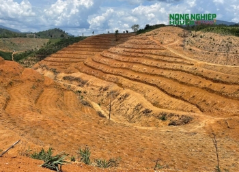 Cần rà soát, đánh giá đầy đủ về tiến độ đầu tư dự án của Công ty TNHH Quý Thanh Lộc Phát