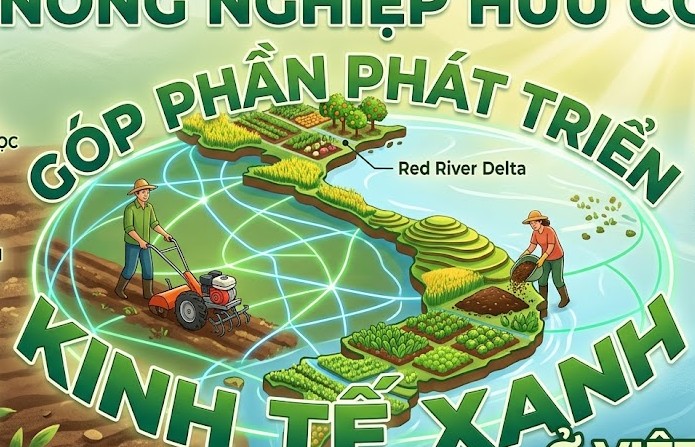Nông nghiệp hữu cơ góp phần phát triển kinh tế xanh ở Việt Nam