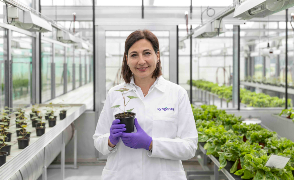 Lãnh đạo nghiên cứu Syngenta nhận giải thưởng quốc tế về hóa chất nông nghiệp