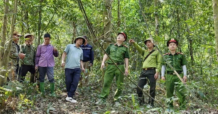 Đắk Lắk triển khai biện pháp cấp bách phòng cháy, chữa cháy rừng giữa nắng nóng kéo dài