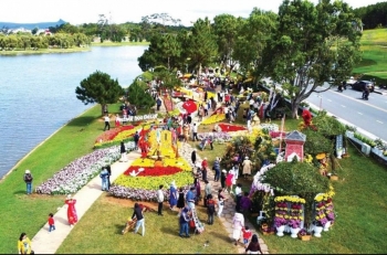 Nhiều không gian hoa đang được chuẩn bị cho Festival Hoa Đà Lạt 2026