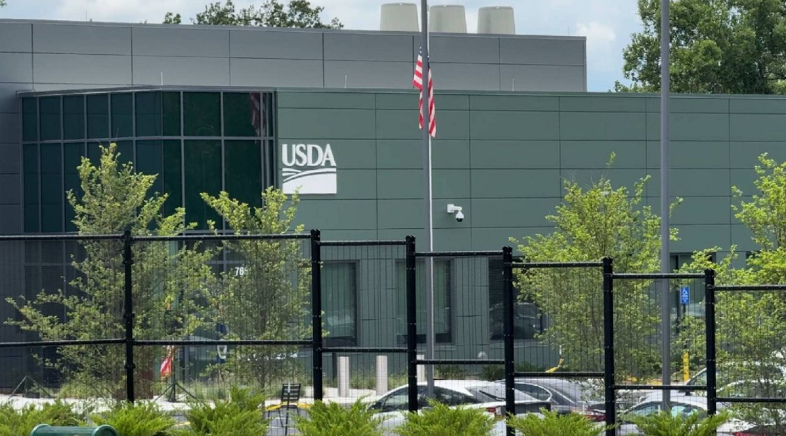 USDA thu hồi gần 30.000 pound thịt bò Argentina