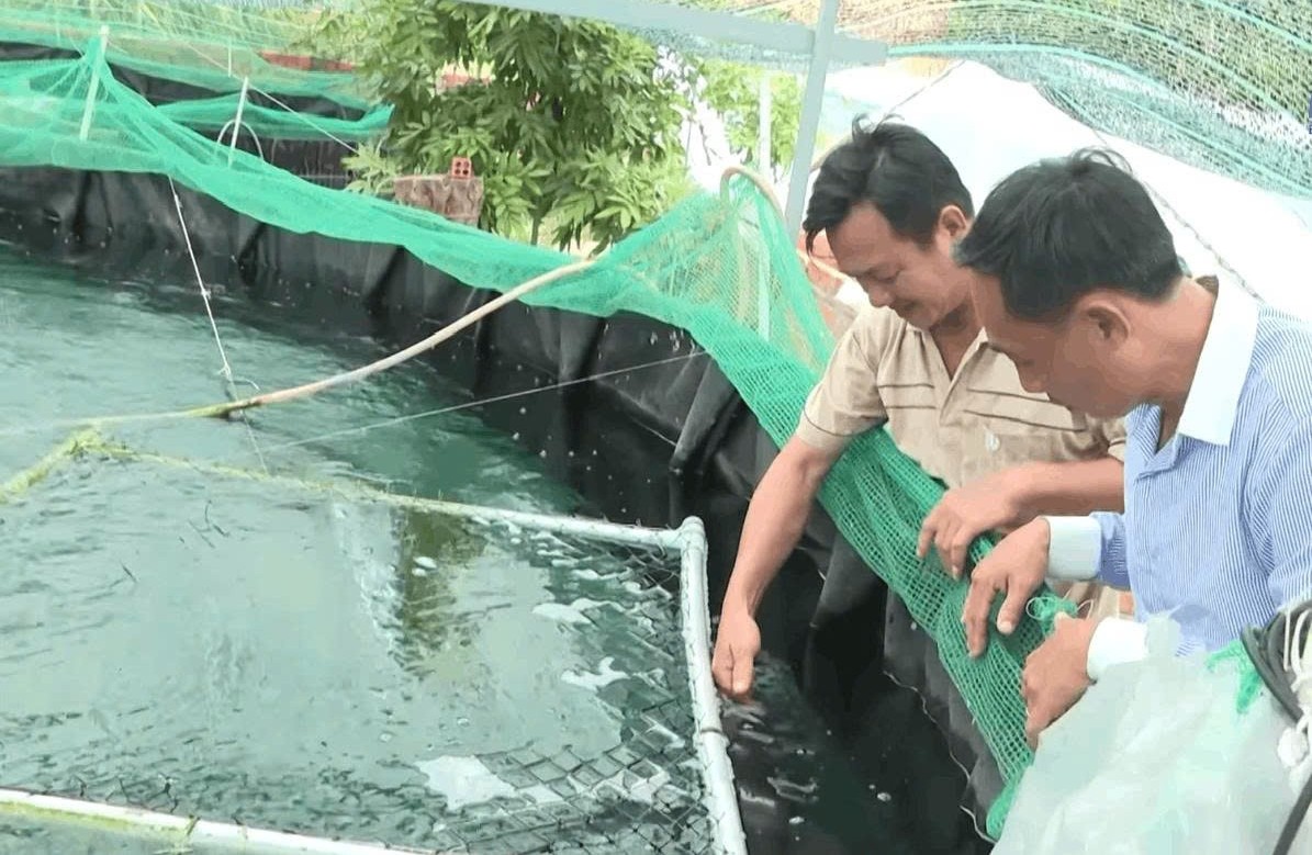 nuoi ca chinh tuan hoan huong di moi cho vung kho han