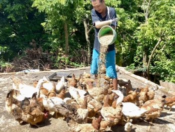 Người hội viên nông dân không để nghịch cảnh “đóng cửa” tương lai