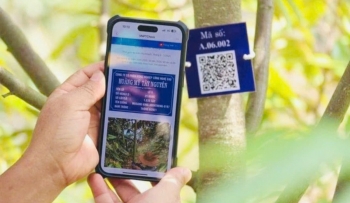 Lâm Đồng có thêm 13 mã số vùng trồng sầu riêng xuất khẩu sang Trung Quốc