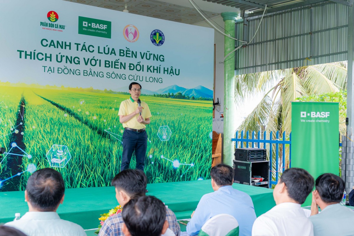 Phân bón Cà Mau mở đầu chuỗi canh tác lúa bền vững tại Đồng Tháp