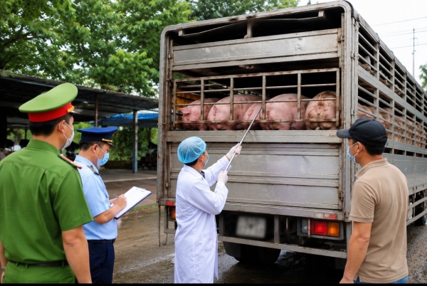 TP.HCM tăng cường kiểm tra dịch bệnh động vật và chất cấm trong chăn nuôi