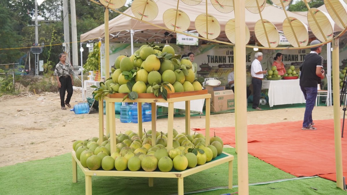 sản phẩm thu hoạch