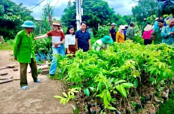 Những mầm xanh mở hướng sinh kế bền vững cho người dân xã A Lưới 1