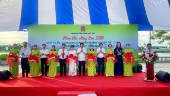 Phiên chợ nông sản Huế 2026 - Mở rộng kết nối, nâng tầm sản phẩm