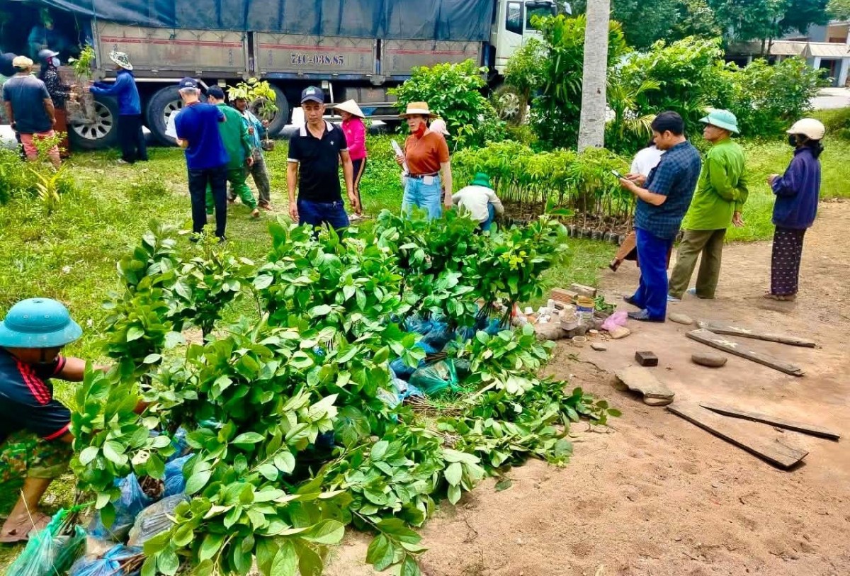 Những mầm xanh mở hướng sinh kế bền vững cho người dân xã A Lưới 1