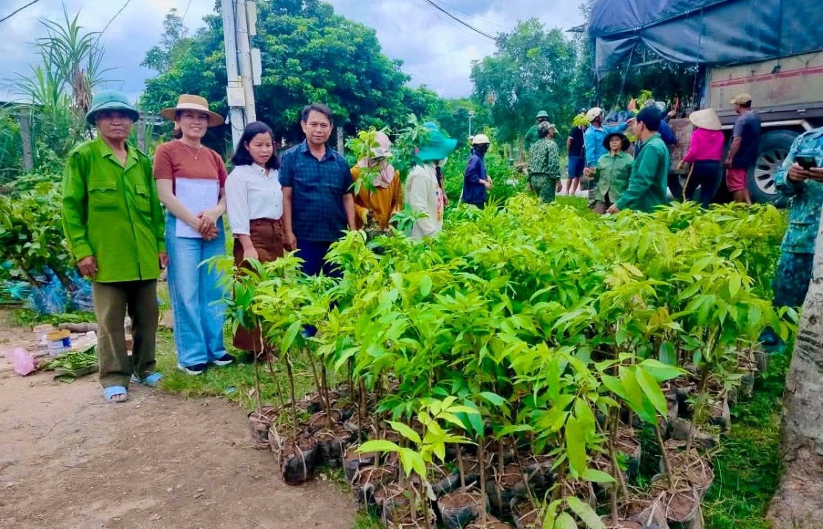 giống cây ăn quả