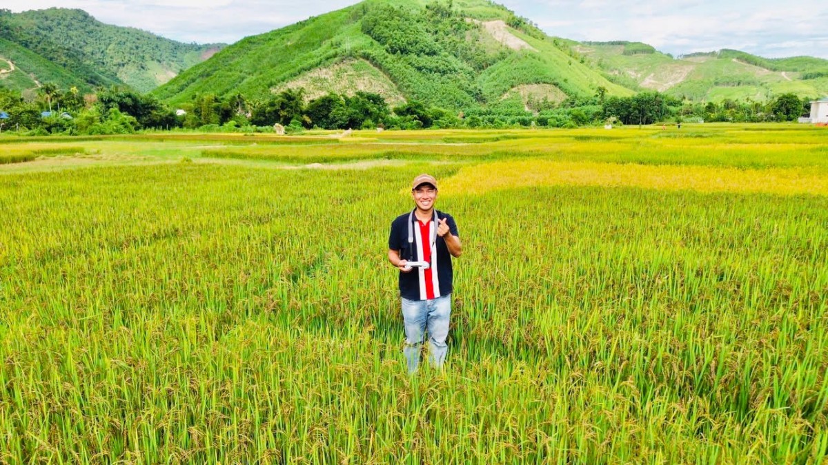 chiều dài bông