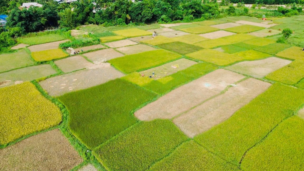 sản phẩm OCOP