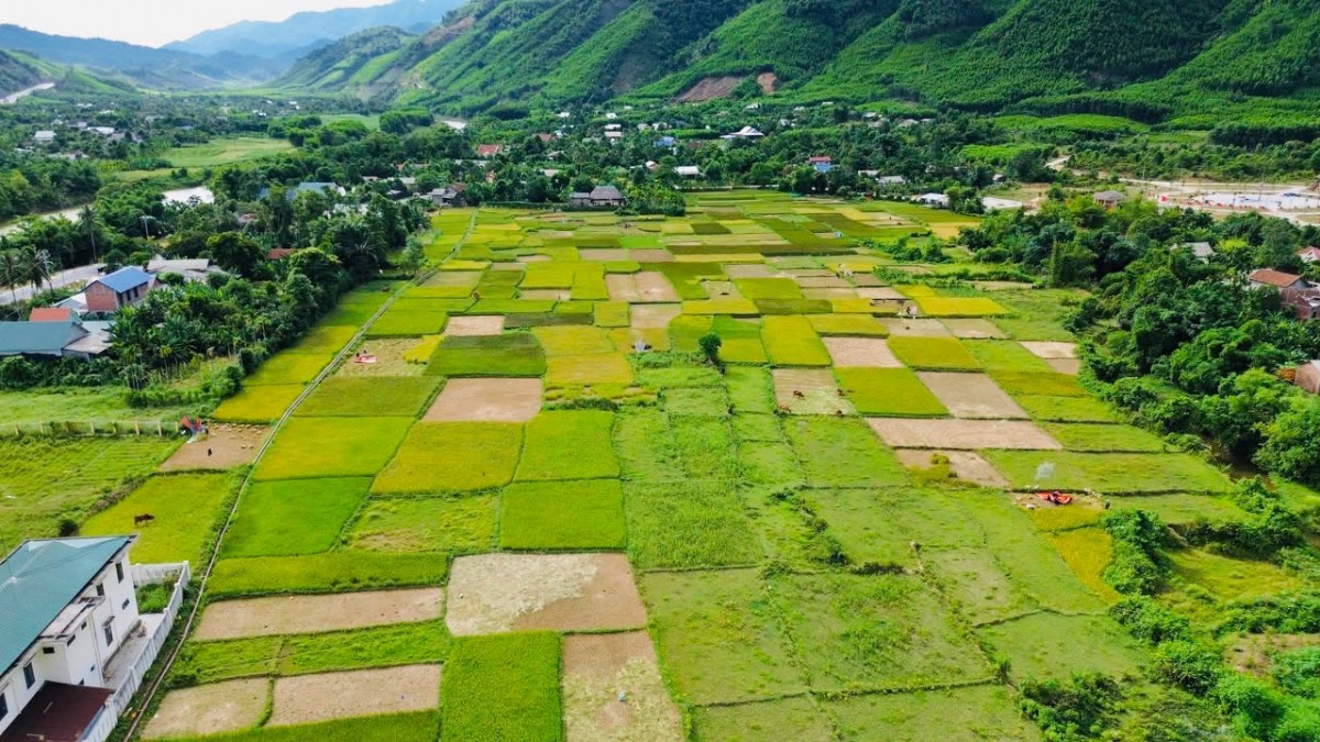 sản phẩm OCOP