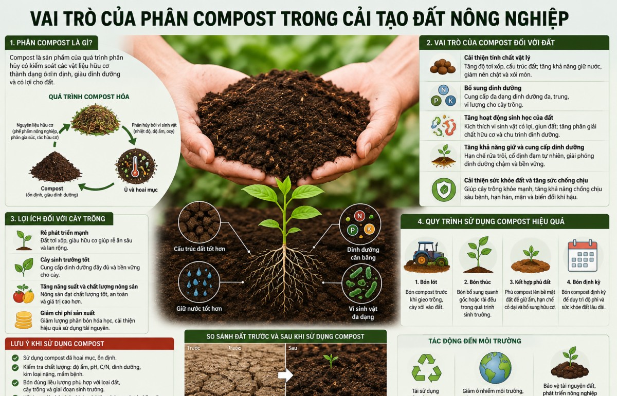 Phân Compost trong cải tạo đất nông nghiệp: Tiếp cận từ góc nhìn chuyên gia