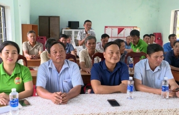 Đà Nẵng: Bàn Thạch nâng giá trị nông sản từ dưa hấu không hạt hữu cơ