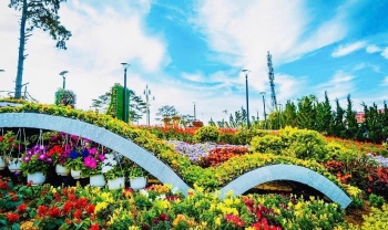 Đẩy mạnh quảng bá Festival Hoa Đà Lạt lần thứ XI trên đa nền tảng