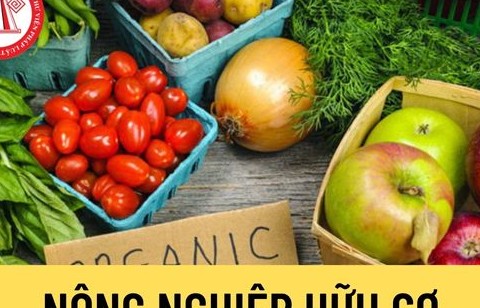 Những "điểm nghẽn" cần tháo gỡ trong phát triển nông nghiệp hữu cơ hiện nay