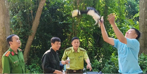 An Giang: Thả cá thể Cao cát bụng trắng quý hiếm về rừng Núi Cấm