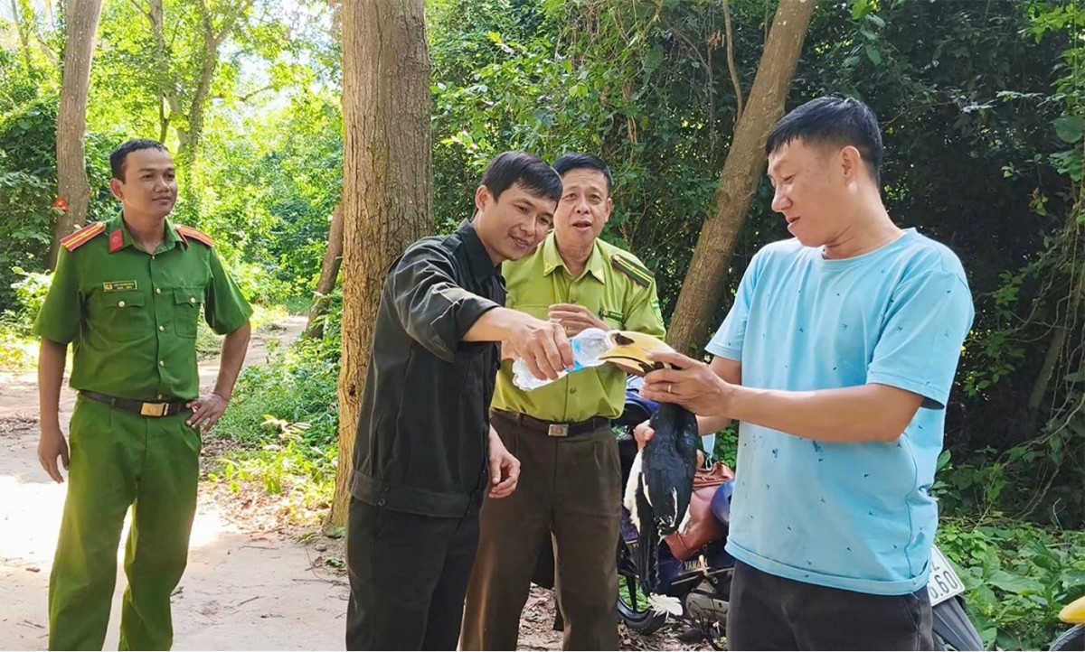 An Giang: Thả cá thể Cao cát bụng trắng quý hiếm về rừng Núi Cấm