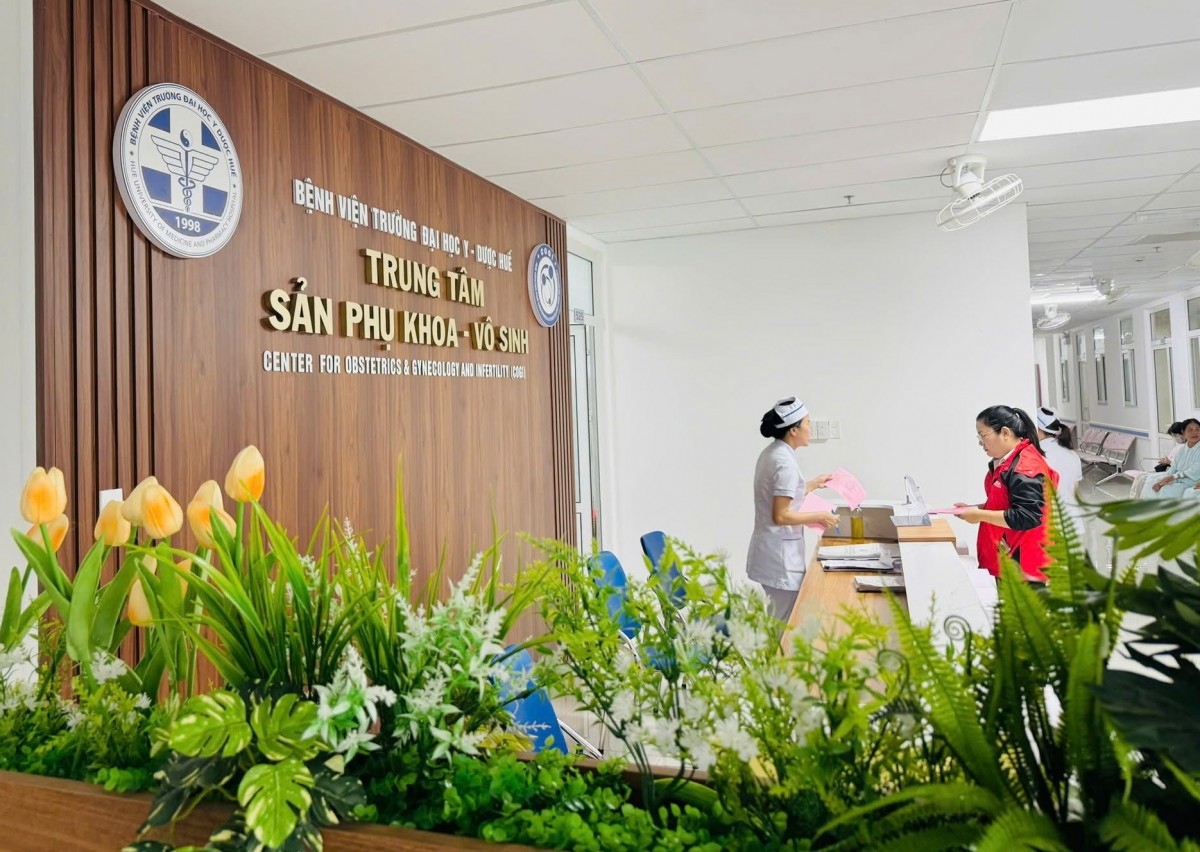 Những thành tích hôm nay và hành trình phát triển bền vững của COGI
