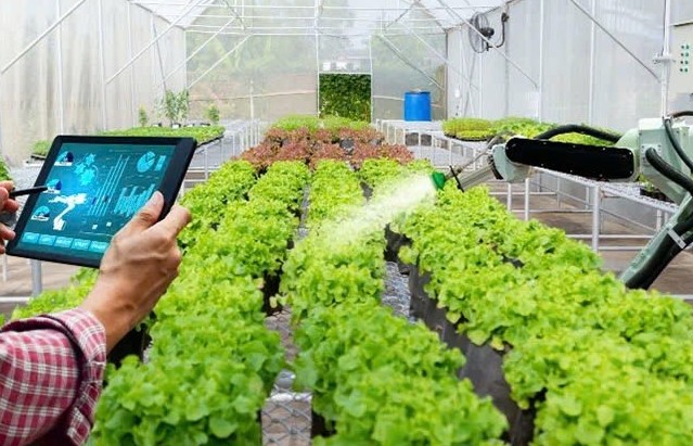 Ứng dụng công nghệ vào sản xuất nông nghiệp - Điều kiện tiên quyết nâng cao năng suất