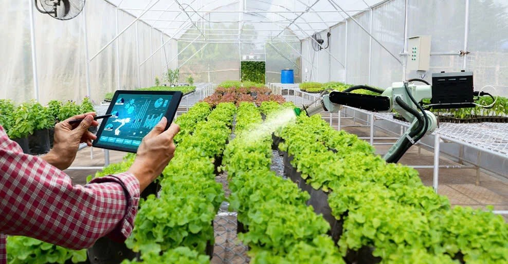 Ứng dụng công nghệ vào sản xuất nông nghiệp - Điều kiện tiên quyết nâng cao năng suất