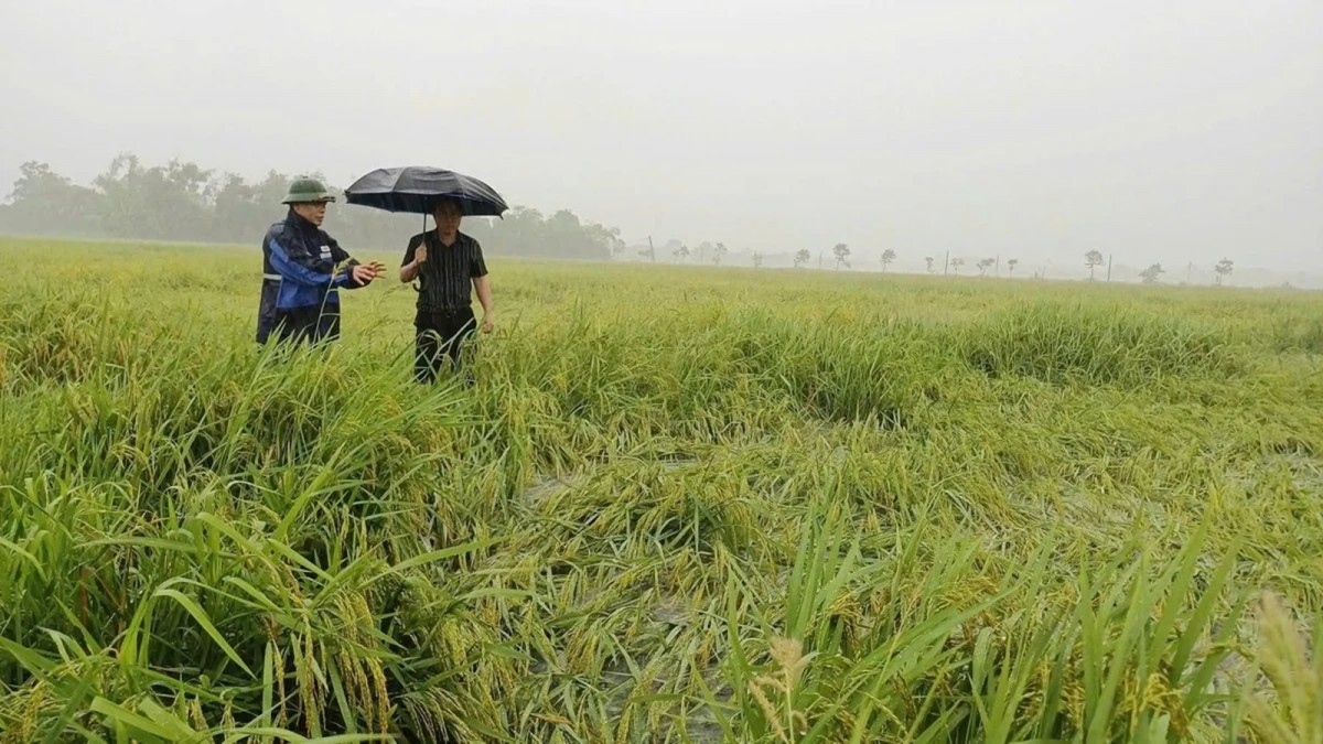 sản xuất nông nghiệp