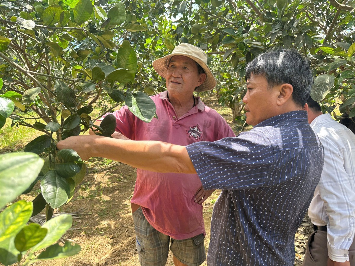 Khảo sát nông trại tiềm năng, mở rộng thực hành canh tác hữu cơ tại Cần Thơ và Gia Lai