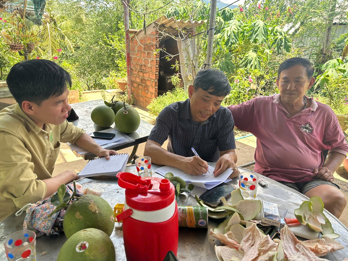 Khảo sát nông trại tiềm năng, mở rộng thực hành canh tác hữu cơ tại Cần Thơ và Gia Lai