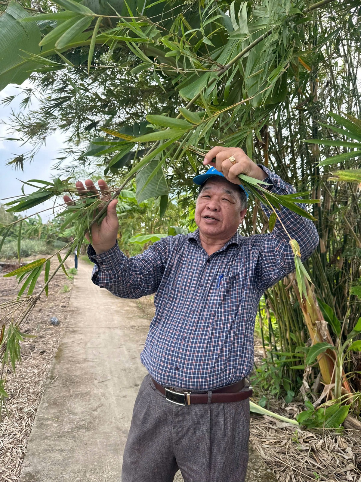Khảo sát nông trại tiềm năng, mở rộng thực hành canh tác hữu cơ tại Cần Thơ và Gia Lai