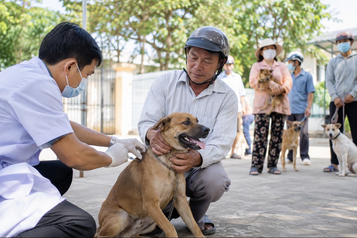 Đồng Tháp siết quản lý chó, mèo, quyết liệt phòng chống bệnh Dại