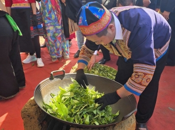Lào Cai tổ chức Festival Trà Shan tuyết năm 2026 diễn ra từ ngày 25 - 27/9
