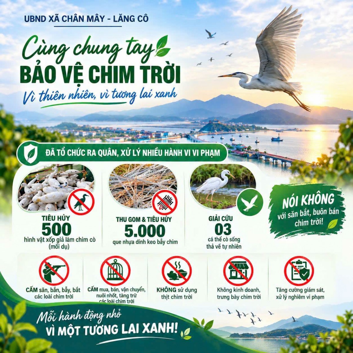 Xã Chân Mây - Lăng Cô ra quân ngăn chặn tình trạng bẫy, bắt chim trời