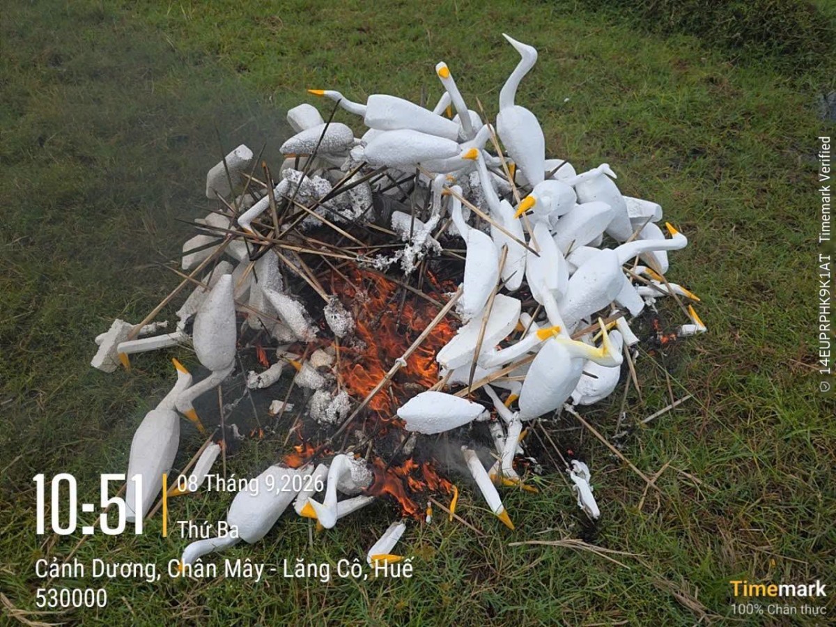 Xã Chân Mây - Lăng Cô ra quân ngăn chặn tình trạng bẫy, bắt chim trời