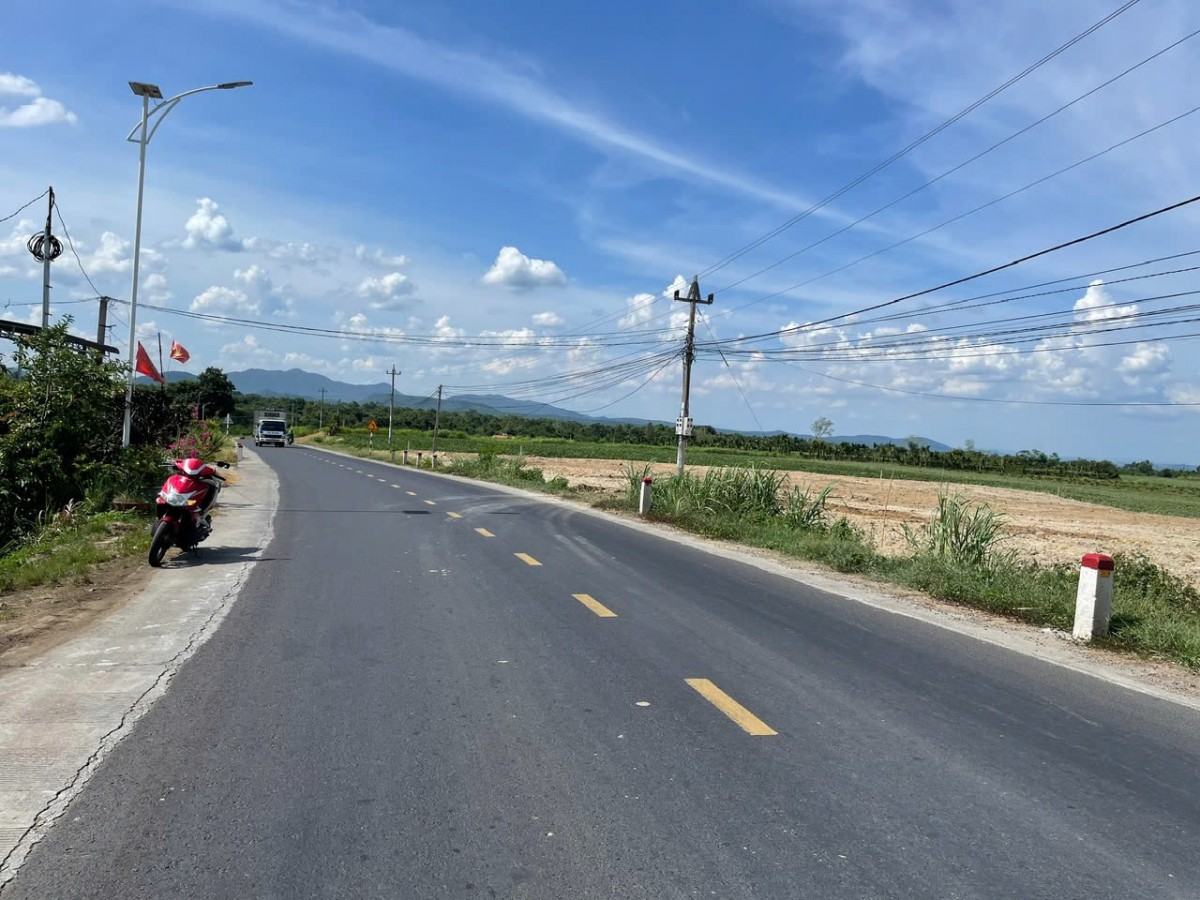 Đắk Lắk: Có thể xử phạt tới 250 triệu đồng vụ hủy hoại đất 
