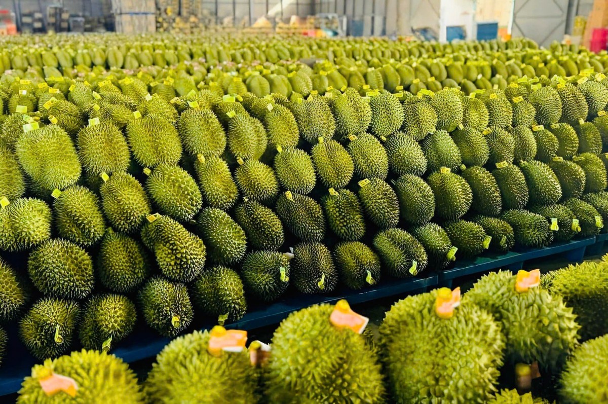 Lâm Đồng mở rộng cơ hội xuất khẩu hàng hóa sang Trung Quốc