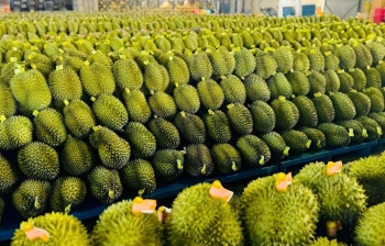 Lâm Đồng mở rộng cơ hội xuất khẩu hàng hóa sang Trung Quốc
