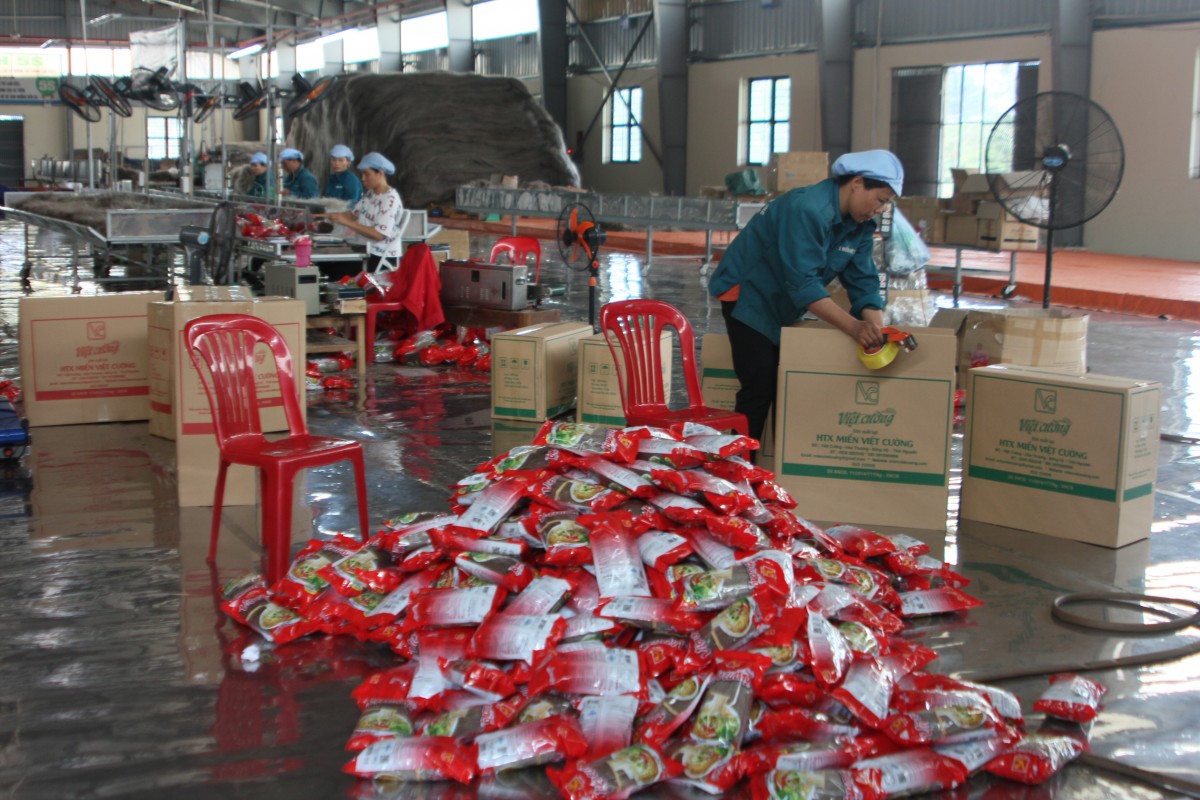 Hợp tác xã kiểu mới - Con đường đoàn kết đi tới ấm no, hạnh phúc