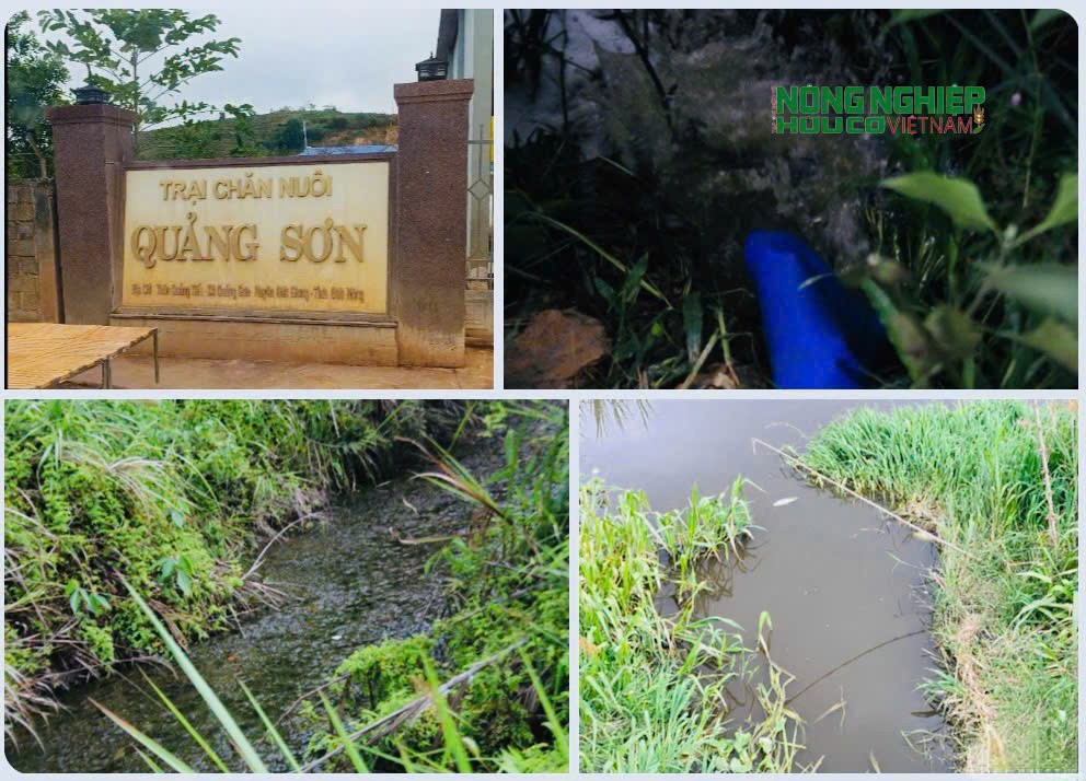 Lâm Đồng nhận diện nhiều “điểm nóng” có nguy cơ gây ô nhiễm môi trường