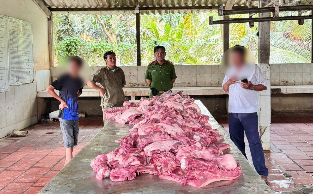 Vĩnh Long: Phát hiện điểm giết mổ heo chưa được cấp phép
