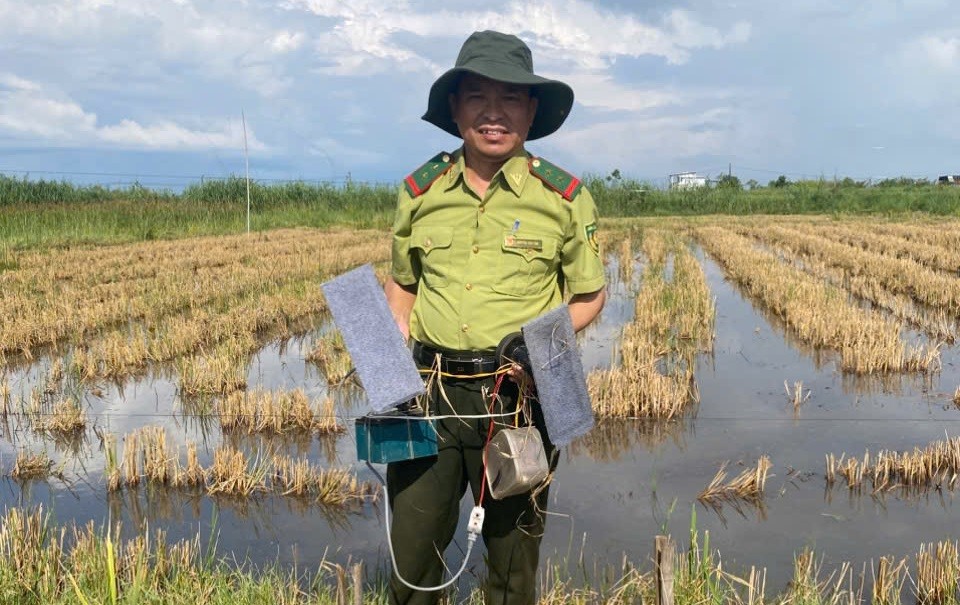 Lực lượng Kiểm Lâm Tp. Huế kịp thời ngăn chặn bẫy bắt chim, cò trên đồng ruộng