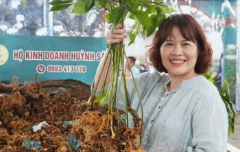 Huỳnh Sâm 