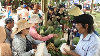Đà Nẵng có một “miền xanh” mang tên Nông Sơn