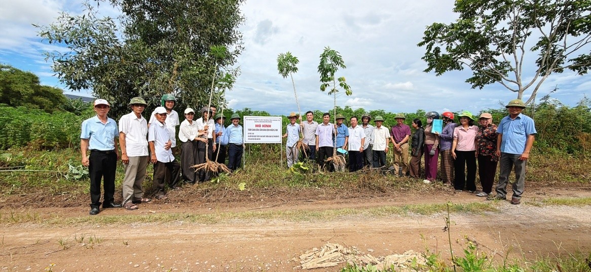 Quảng Trị: Hội nghị đánh giá mô hình thâm canh giống sắn kháng bệnh khảm lá HN1
