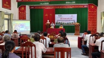 Quảng Trị: Hội nghị đánh giá mô hình thâm canh giống sắn kháng bệnh khảm lá HN1